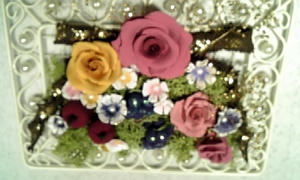 071108_063019.jpg
