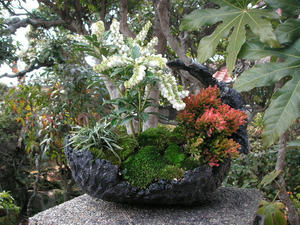 PICT0153.JPG