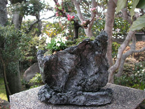PICT0158.JPG