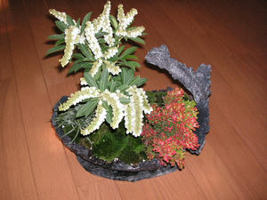 PICT0166.JPG