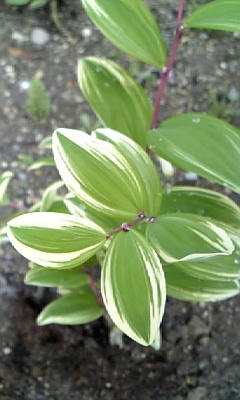 080414_090347.jpg
