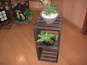PICT0079.JPG