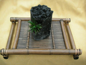 PICT0105.JPG