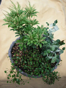 PICT0114.JPG