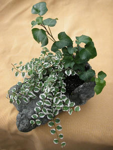 PICT0157.JPG