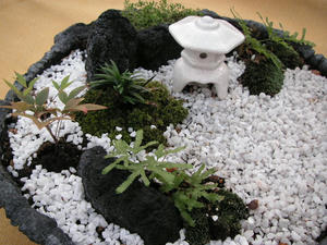 PICT0170.JPG