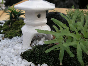 PICT0172.JPG
