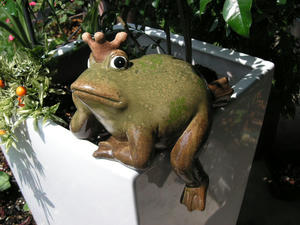 PICT0177a.JPG