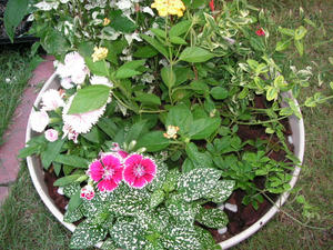 PICT0186.JPG