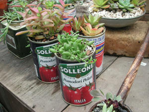 PICT0228.JPG