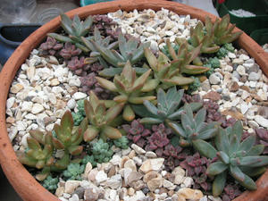 PICT0223.JPG