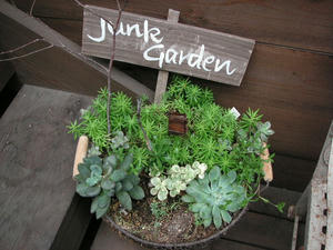 PICT0242.JPG