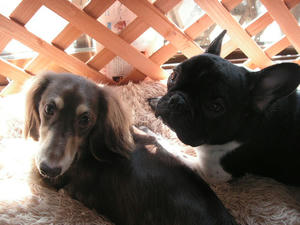 PICT0255.JPG