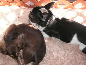 PICT0258.JPG