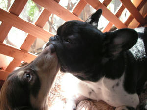 PICT0268.JPG