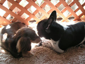 PICT0262.JPG