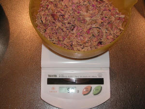 PICT0306.JPG