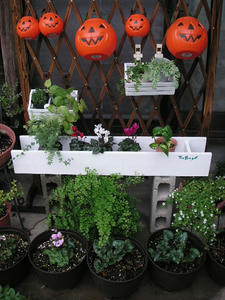 PICT0319.JPG