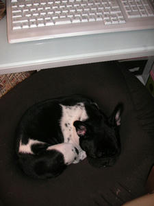 PICT0278.JPG