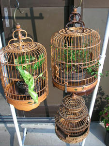 PICT0349.JPG
