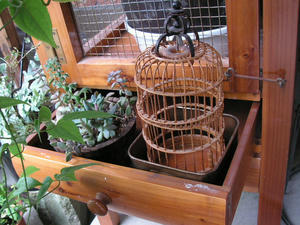 PICT0344.JPG