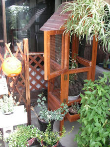 PICT0345.JPG
