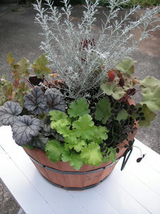 PICT0374.JPG
