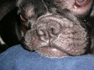 PICT0395.JPG