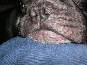 PICT0398.JPG
