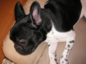 PICT0402.JPG