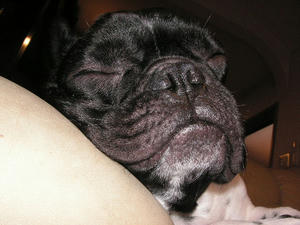 PICT0404.JPG