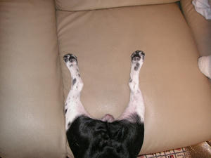 PICT0407.JPG
