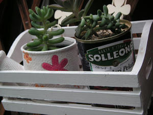 PICT0391.JPG