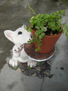 PICT0437.JPG
