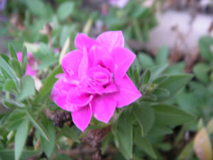 PICT0452.JPG