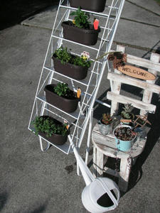 PICT0460.JPG