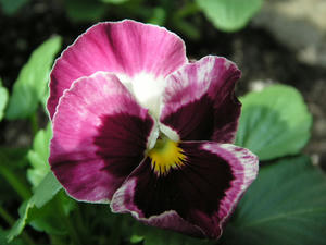 PICT0495.JPG