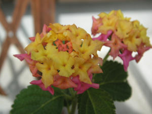 PICT0499.JPG