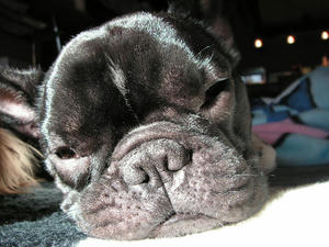 PICT0626.JPG