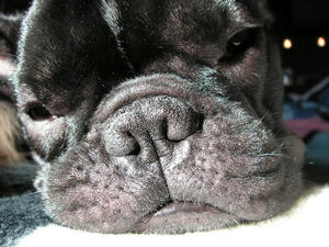 PICT0627.JPG