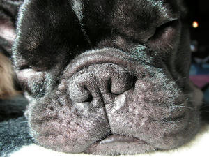 PICT0628.JPG