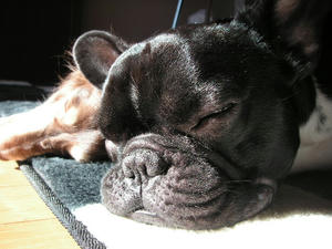 PICT0632.JPG