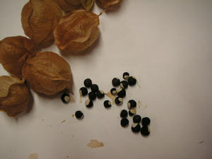 PICT0657.JPG