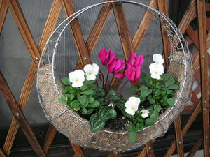 PICT0650.JPG