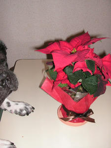 PICT0677.JPG