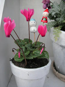 PICT0684.JPG