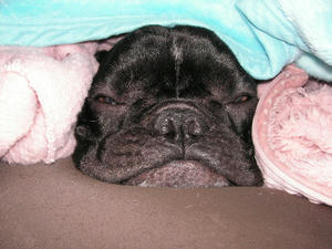 PICT0019.JPG