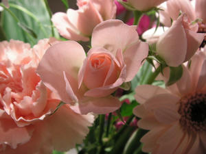 PICT0093.JPG