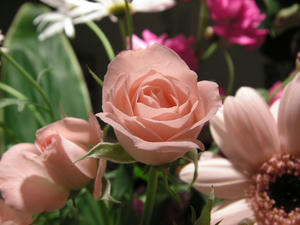 PICT0094.JPG