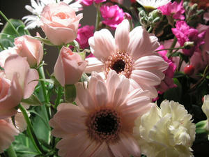 PICT0095.JPG